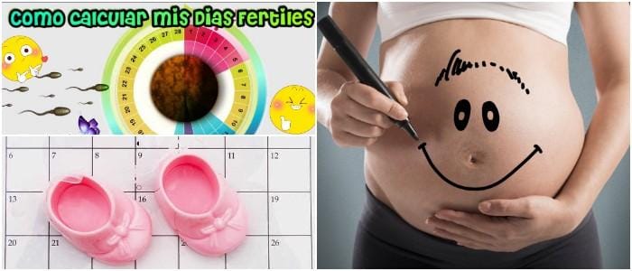 cuales son los dias fertiles para quedar embarazada antes o después de la menstruación