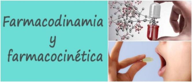 la farmacodinamia y la farmacocinetica del bromuro de ipratropio