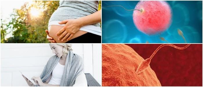 donde puedo conseguir una calculadora de ovulación y fertilidad