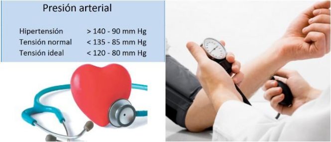 cual es la presión arterial normal en bebes
