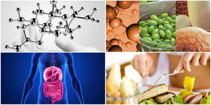 Los peptidos como cadenas de aminoacidos