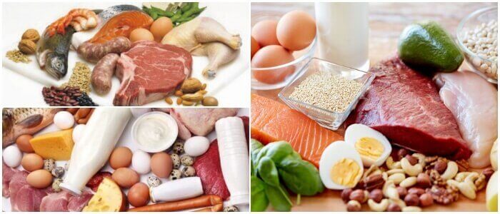 alimentos para dieta proteica