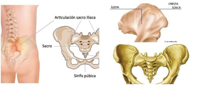 imagen del hueso iliaco