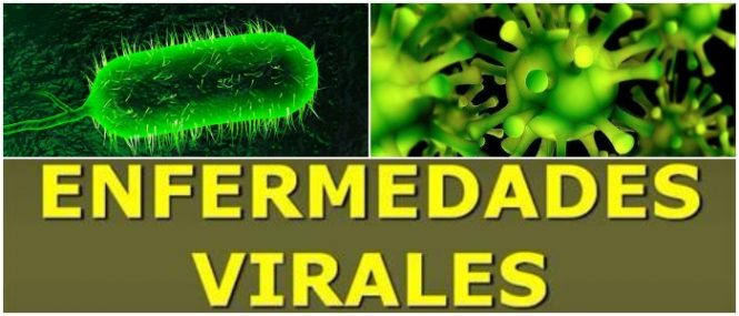 Enfermedades Virales: Virus, Bacterias, Tipos, Síntomas, Causas y ...