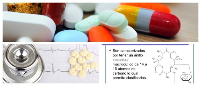 macrolidos bactericidas