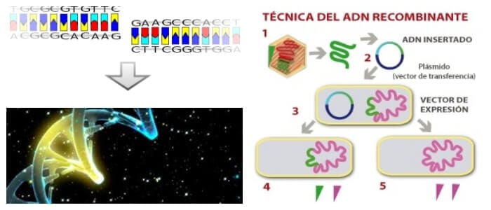 beneficios del adn recombinante