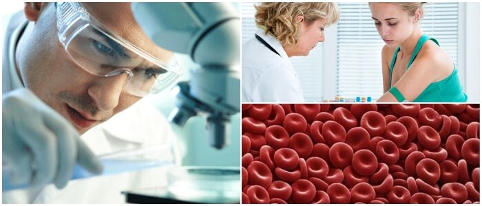 valores normales del cuadro hematico