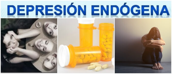 definición de la depresión endogena
