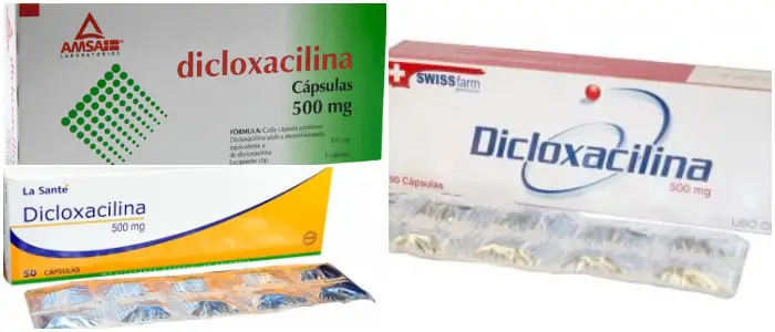 dicloxacilina para la gripe