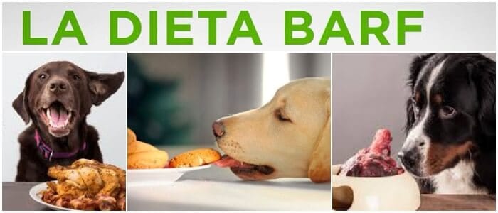 desventajas de la dieta barf