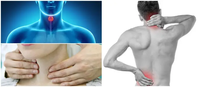 qué es el hiperparatiroidismo secundario