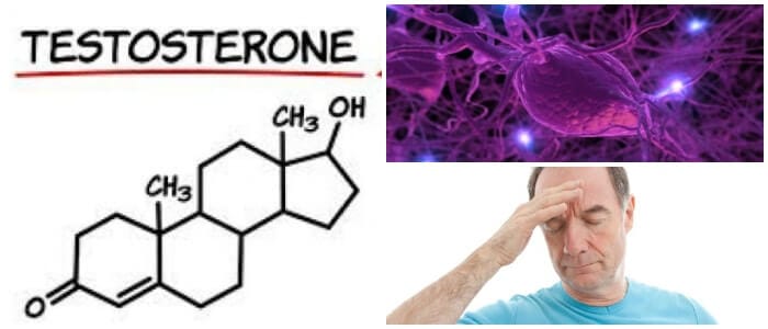 Hormonas Masculinas: ¿Qué Son? Importancia, Papel De La Testosterona ...