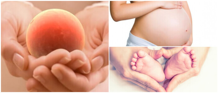 donación de óvulos para mujeres infértiles