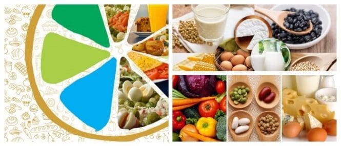 que comen ovolactovegetariano