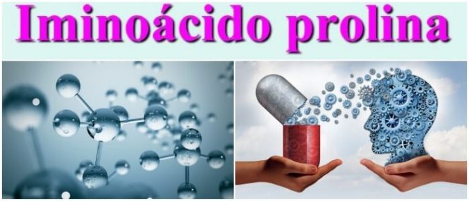 beneficios de la prolina