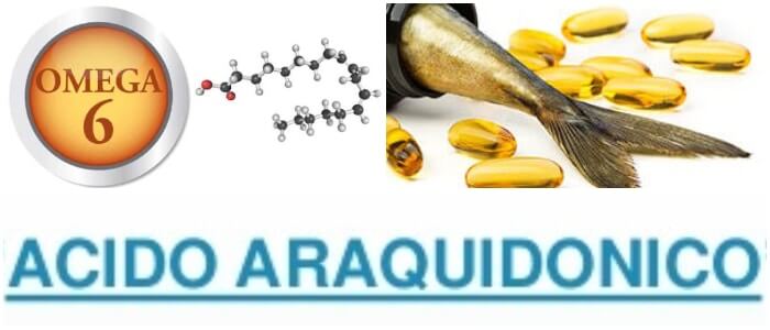 el ácido araquidonico en la bioquimica