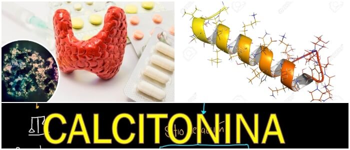 causas de la calcitonina elevada