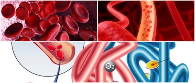 hemoglobina + que significa