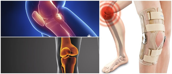 función de los ligamentos de rodilla