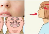 cuales son las características y funciones de las fosas nasales