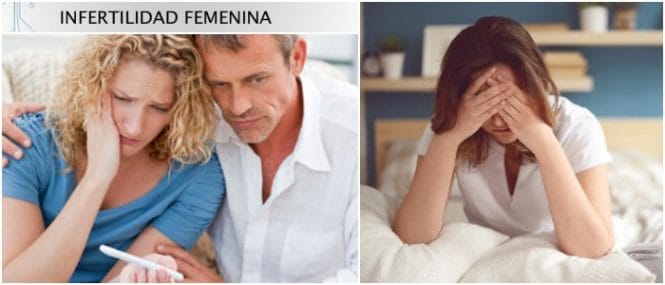 esterilidad