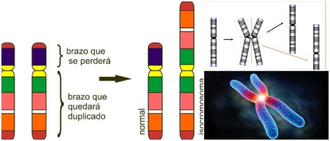 que es el isocromosoma 18q