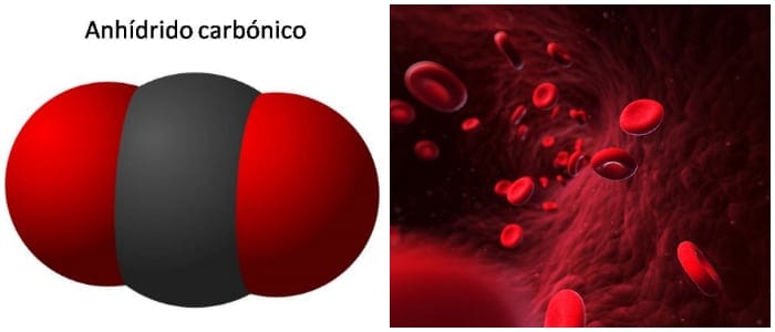 grado alimenticio del anhidrido carbonico