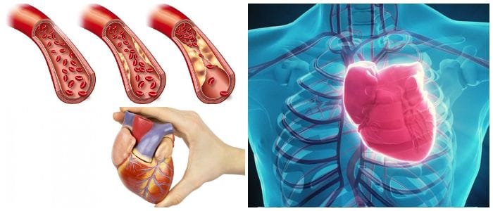 cual es la función de las arterias coronarias