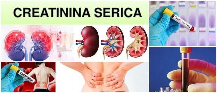 que es la creatinina serica en sangre