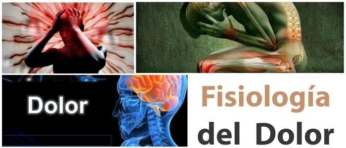 cual es la fisiología del dolor crónico