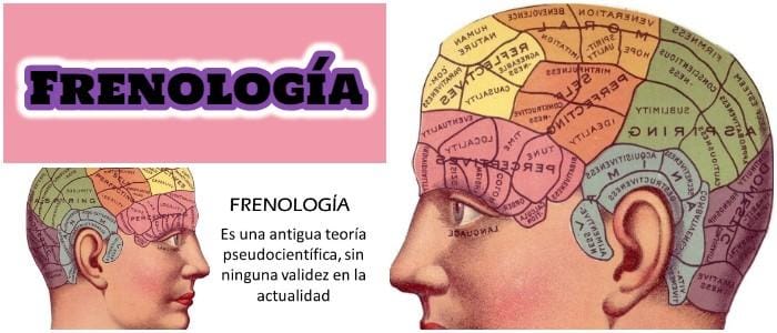 que es la frenología de gall