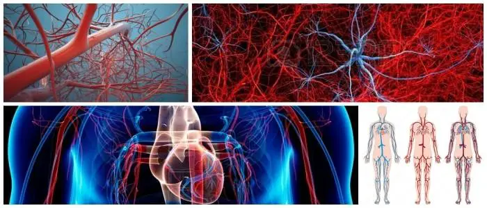 consecuencias de la perfusion tisular baja