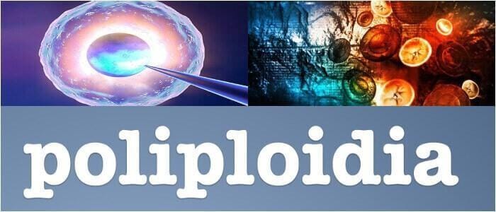 cuales son características de la poliploidia