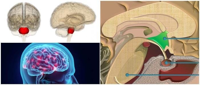 cual es la ubicación de la protuberancia anular