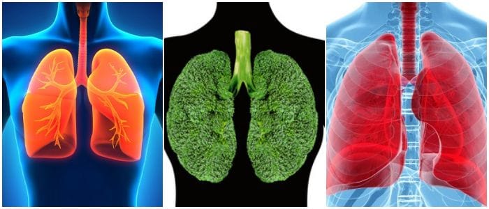 como limpiar los pulmones de un fumador