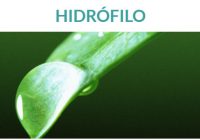 los hidrófilo absorben agua