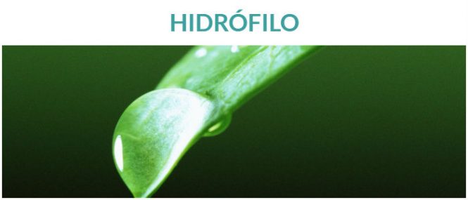 los hidrófilo absorben agua