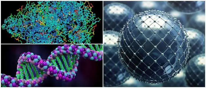 Macromolécula Definición, Estructura, Propiedades Físicas