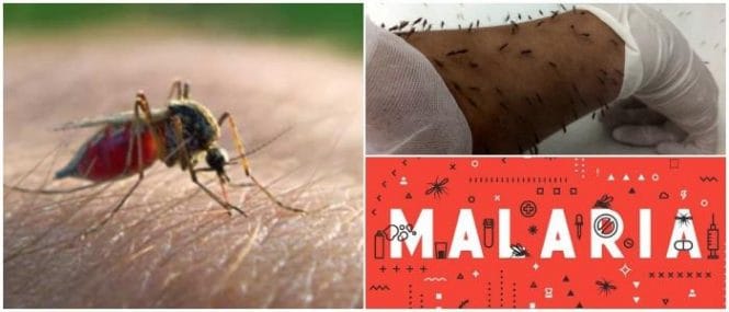 cual es el agente causal de la malaria