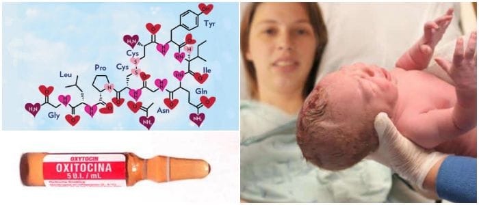 relación entre la oxitocina y el amor