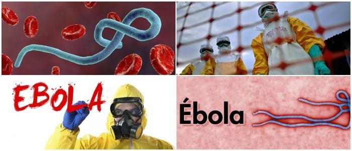cual es el agente causal del ébola
