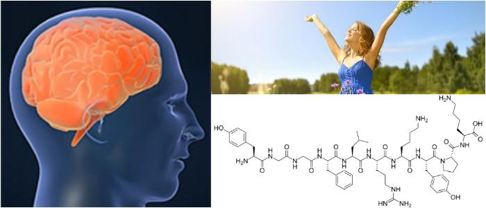 que vitaminas son buenas para el cerebro