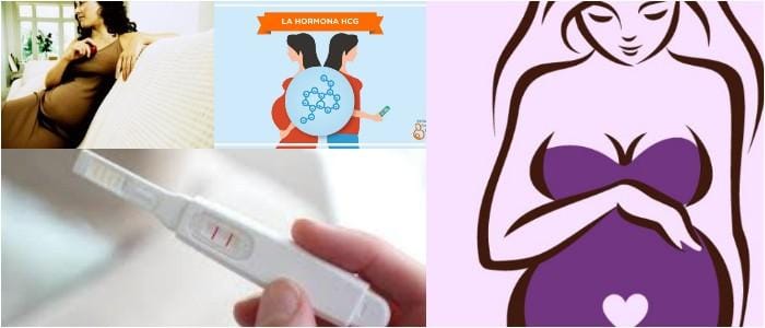 niveles de la hormona del embarazo