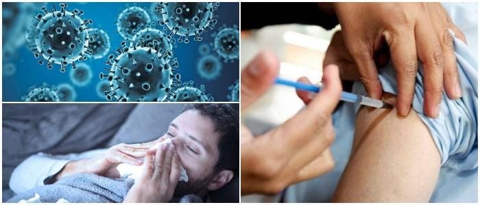 que es la influenza a