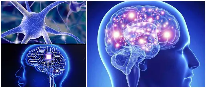 que son los neurotransmisores y sus funciones