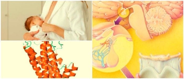cuales son los síntomas de la prolactina alta