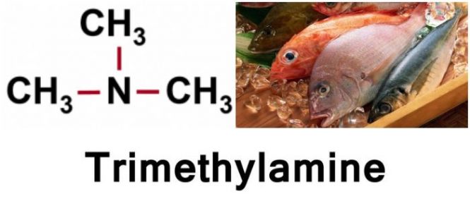 cual es la formula de la trimetilamina y los alimentos que la tienen