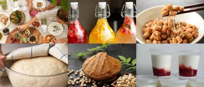 la fermentación como proceso para conservar la comida