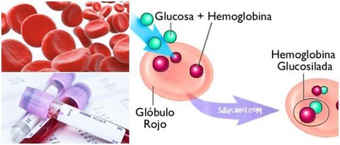 cual es la hemoglobina glicada en sangre