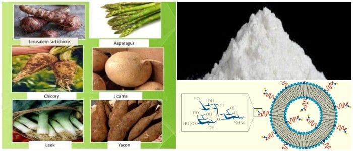 oligosacáridos de la leche materna